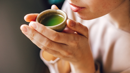 Why consume Matcha? Discover its incredible benefits