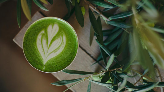 How to store matcha to preserve its freshness and benefits
