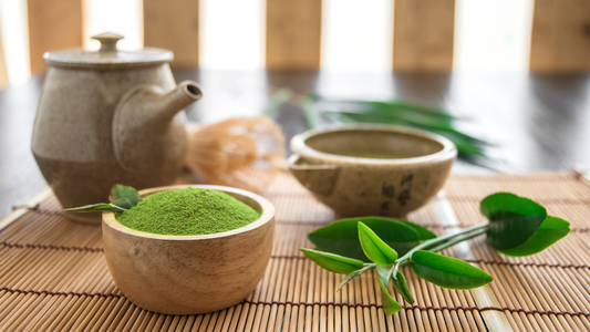 Le Matcha dans la culture japonaise : plus qu'une simple boisson