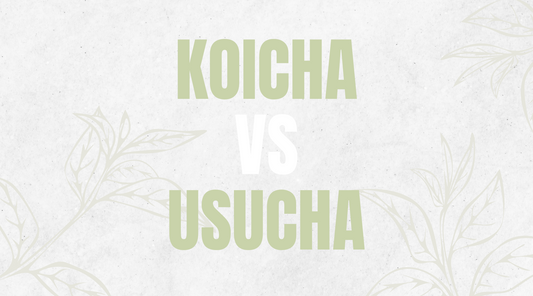 Koicha & Usucha : deux façons traditionnelles de préparer le matcha