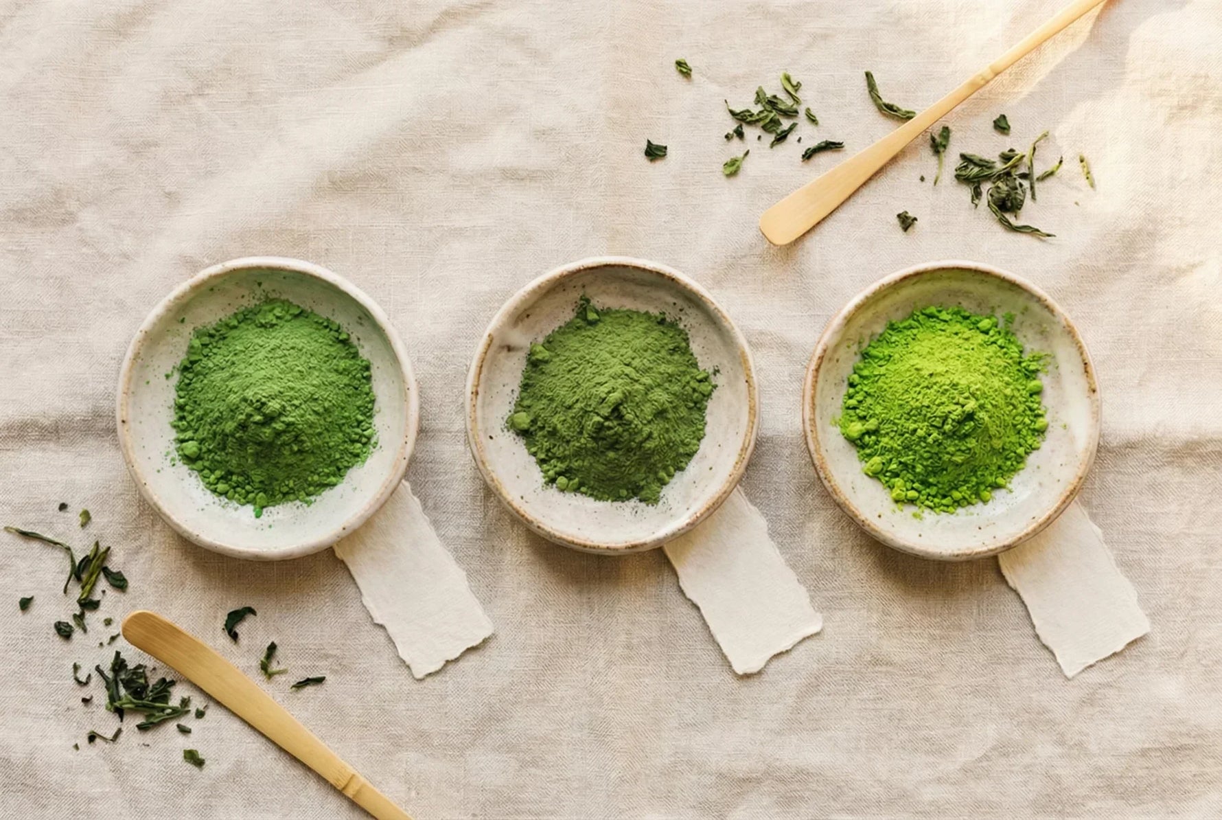 cultivar matcha : comprendre les variétés de matcha