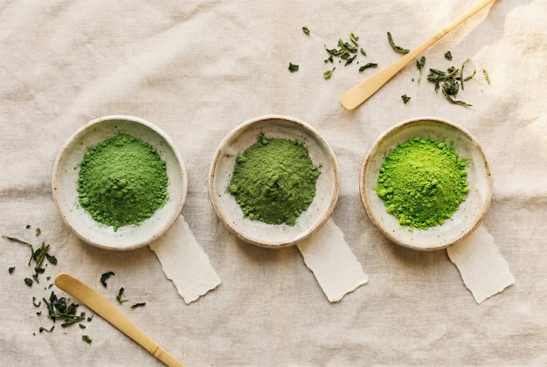 Cultivars de matcha : Yabukita, Okumidori, Saemidori… quelles différences ? - Tsuki Matcha