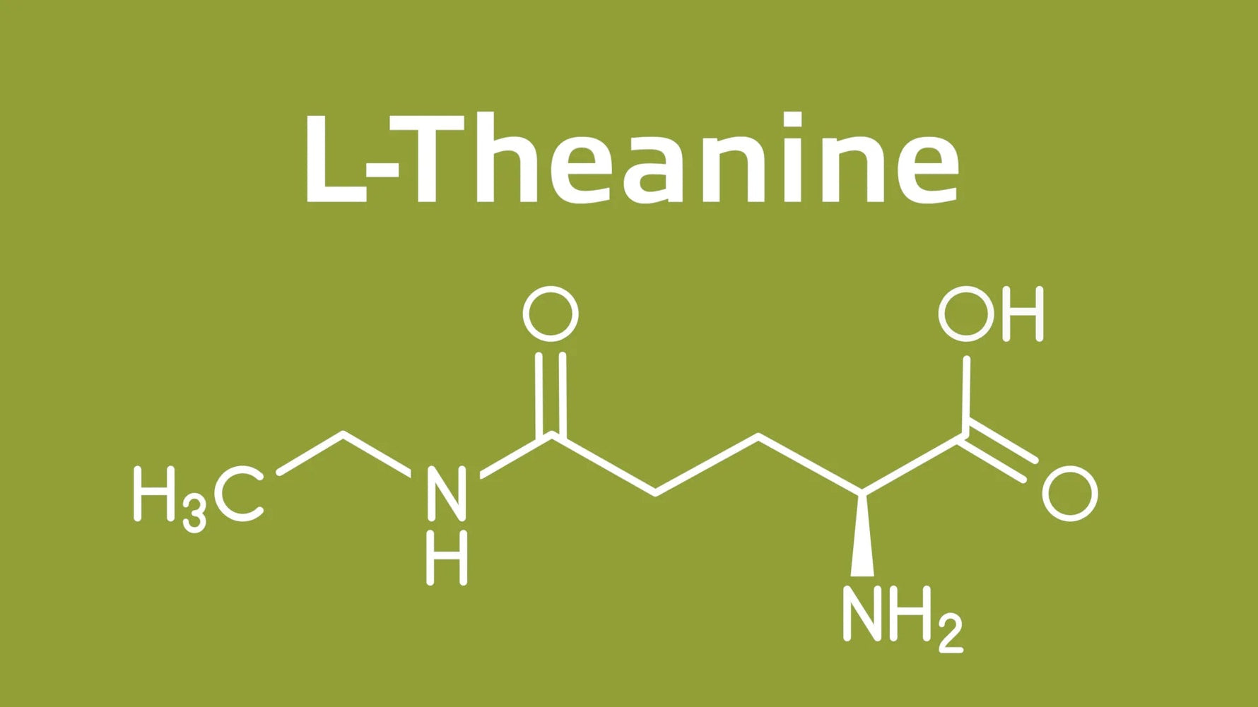 L-théanine : l'acide aminé du matcha qui change tout pour le focus - Tsuki Matcha