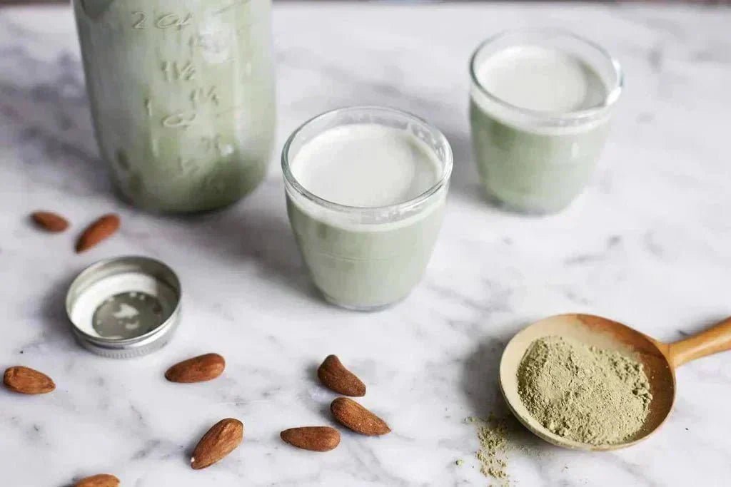 Matcha latte au lait d'avoine - Tsuki Matcha