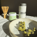 Ourson Chocolat Blanc Matcha - Tsuki Matcha